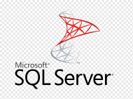 ms-sql-server